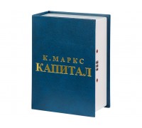 Кэшбокс Тайник Капитал (blue)